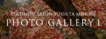 PLATINUM SALON YOSHITA MINORI PHOTO GALLERY 1