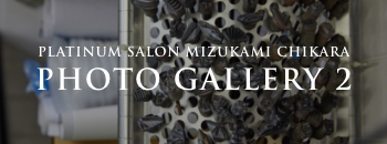 PLATINUM SALON MIZUKAMI CHIKARA PHOTO GALLERY 2