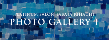 PLATINUM SALON TABATA KIHACHI PHOTO GALLERY 1