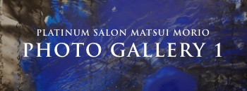 PLATINUM SALON MATSUI MORIO PHOTO GALLERY 1