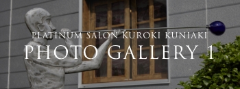 PLATINUM SALON TORU KAIZAWA PHOTO GALLERY 1
