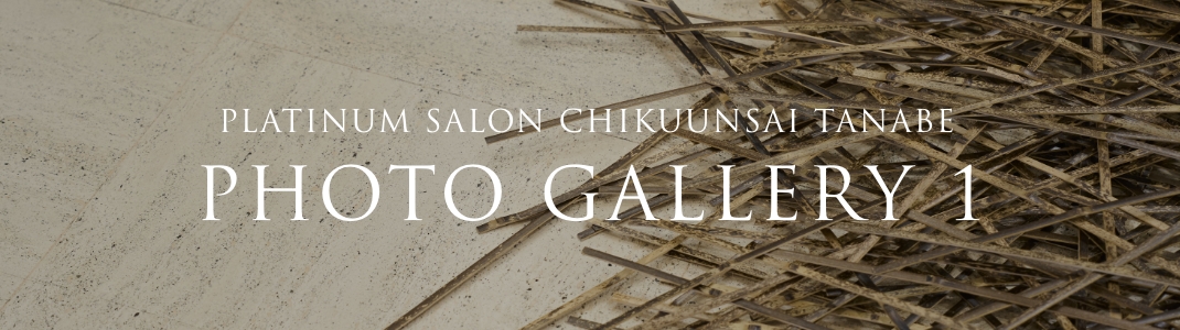 PLATINUM SALON CHIKUUNSAI TANABE PHOTO GALLERY 1