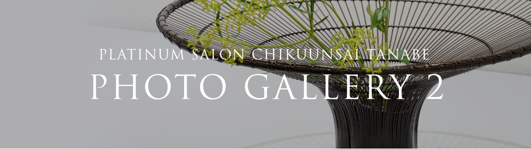 PLATINUM SALON CHIKUUNSAI TANABE PHOTO GALLERY 2