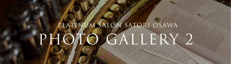 PLATINUM SALON SATORI OSAWA PHOTO GALLERY 2