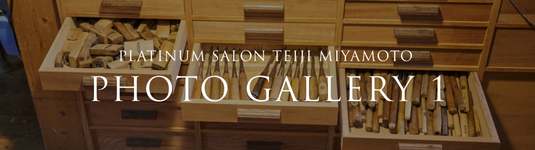 PLATINUM SALON TEIJI MIYAMOTO PHOTO GALLERY 1