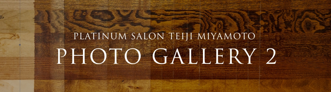 PLATINUM SALON TEIJI MIYAMOTO PHOTO GALLERY 2