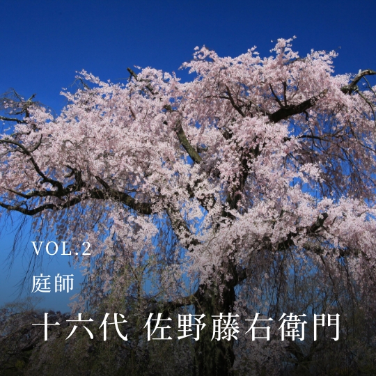 PLATINUM SALON VOL.02 庭師 十六代 佐野藤右衛門