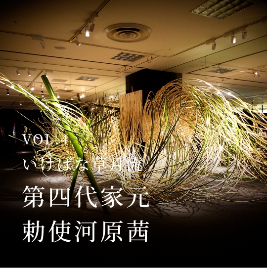 PLATINUM SALON VOL.04 いけばな草月流 第四代家元 勅使河原茜