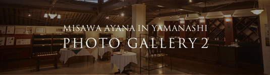 MISAWA AYANA IN YAMANASHI PHOTO GALLERY 1