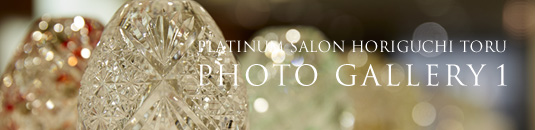 PLATINUM SALON HORIGUCHI TORU PHOTO GALLERY 1