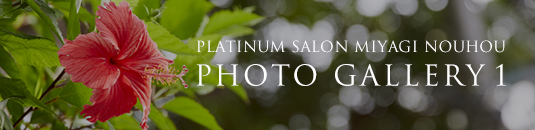 PLATINUM SALON MIYAGI NOUHOU PHOTO GALLERY 1
