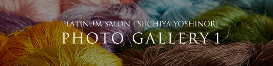 PLATINUM SALON TSUCHIYA YOSHINORI PHOTO GALLERY 1