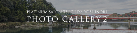 PLATINUM SALON TSUCHIYA YOSHINORI PHOTO GALLERY 1
