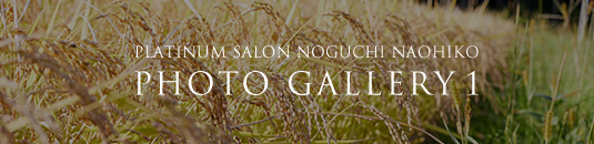 PLATINUM SALON NOGUCHI NAOHIKO PHOTO GALLERY 1