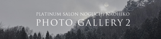 PLATINUM SALON NOGUCHI NAOHIKO PHOTO GALLERY 1