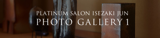 PLATINUM SALON ISEZAKI JUN PHOTO GALLERY 1