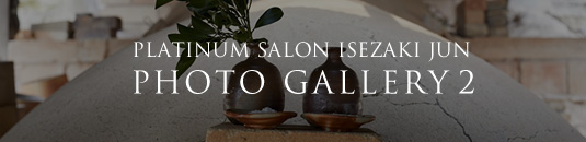 PLATINUM SALON ISEZAKI JUN PHOTO GALLERY 2