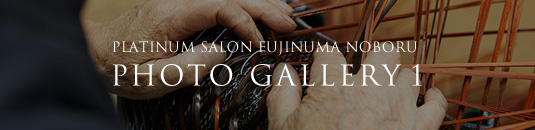 PLATINUM SALON FUJINUMA NOBORU PHOTO GALLERY 1