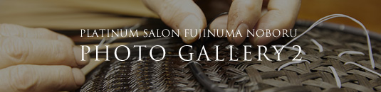 PLATINUM SALON FUJINUMA NOBORU PHOTO GALLERY 2