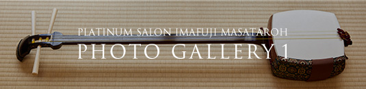 PLATINUM SALON NAKAMURA SHINKYO PHOTO GALLERY 1