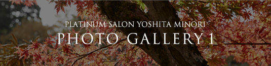 PLATINUM SALON YOSHITA MINORI PHOTO GALLERY 1