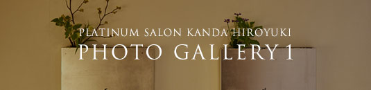 PLATINUM SALON KANDA HIROYUKI PHOTO GALLERY 1
