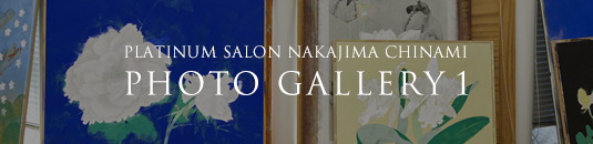 PLATINUM SALON NAHAJIMA TINAMI PHOTO GALLERY 1