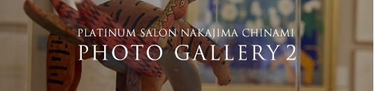 PLATINUM SALON KANDA HIROYUKI PHOTO GALLERY 2