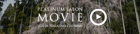 PLATINUM SALON MOVIE VOL.25 KANDA HIROYUKI
