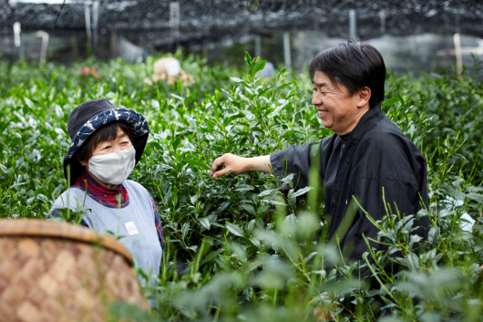 「茶摘みさん」をまとめる母は、茶園の後継者となった息子を、「職人肌で、品質の追及に一切妥協しない人」と評する。
