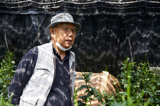 第67回全国茶品評会・玉露の部で農林水産大臣賞（最優秀賞）をはじめ、数々の受賞歴誇る父は、伝統を守りながら時代に合った茶の生産に挑戦し続けている。