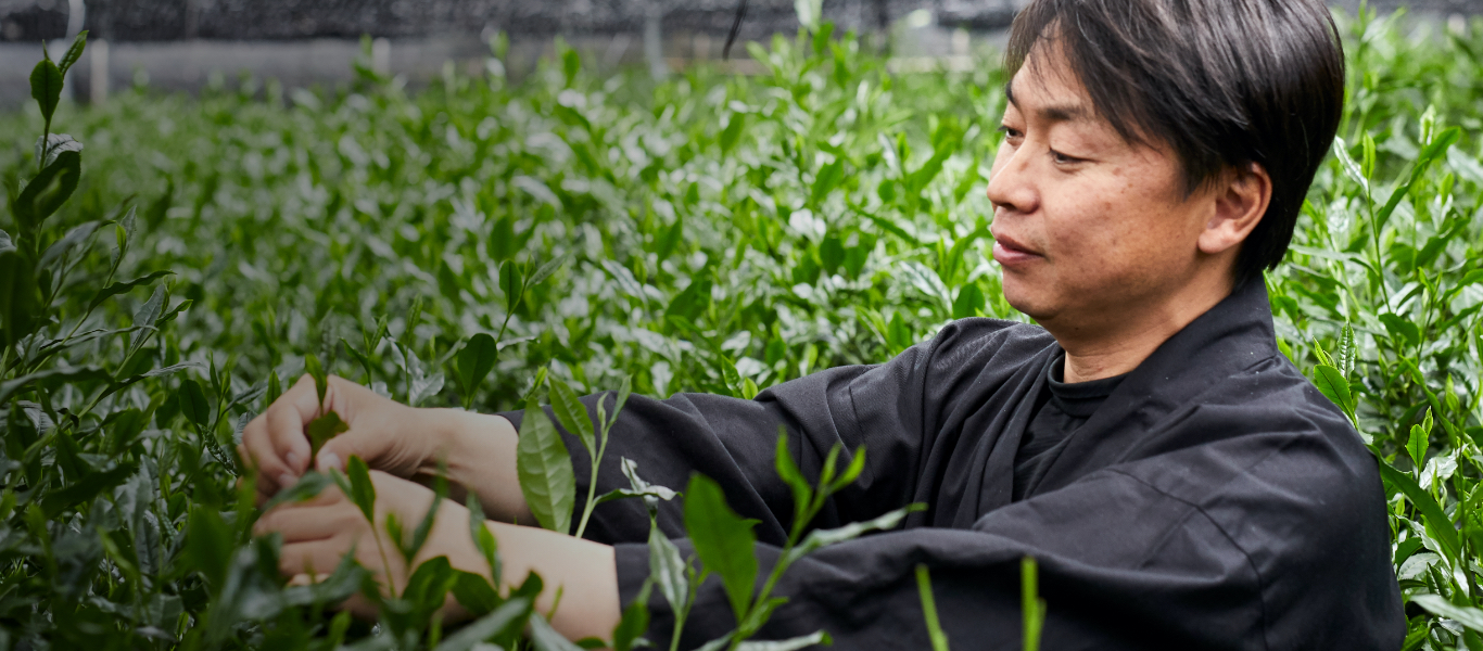 歴史の中で吟味され、進化を続けた日本の緑茶。生産者であり茶師でもある小林裕氏は、すぐれた宇治茶は多様な嗜好品のある現代でも最も洗練された美味の一つであることを疑わない。（Part2へ続く）