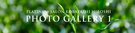 PLATINUM SALON KOBAYASHI HIROSHI PHOTO GALLERY 1