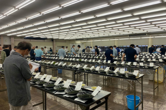 入札の様子。京都では茶摘みが始まる5月前半から7月後半まで、平日はほぼ毎日茶の入札が行われる。（写真提供：祥玉園）
