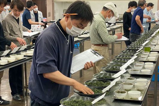 茶葉は手で感触をチェックする。つやがあって、手触りがなめらかで、細く撚れている茶葉が良品とされる。（写真提供：祥玉園）