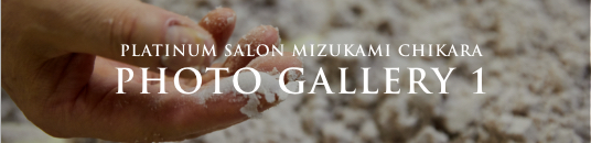 PLATINUM SALON MIZUKAMI CHIKARA PHOTO GALLERY 1