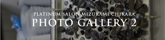 PLATINUM SALON MIZUKAMI CHIKARA PHOTO GALLERY 2