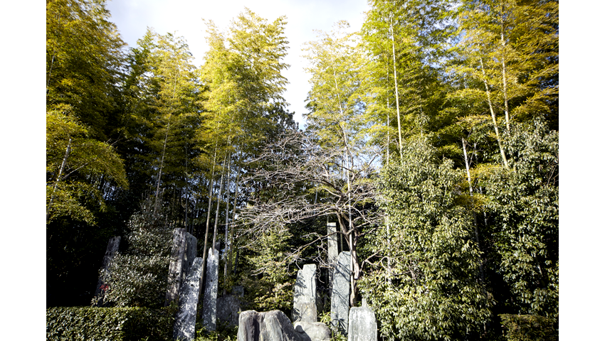 UETO ZOEN IN KYOTO PHOTO GALLERY 1
