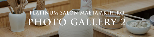 PLATINUM SALON MAETA AKIHIRO PHOTO GALLERY 2