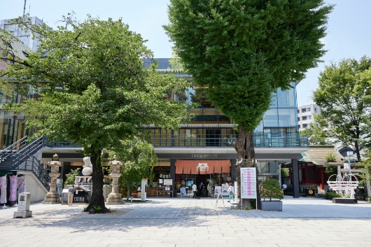 神田明神文化交流館EDOCCOには多目的ホールがあり、ホールの来場者はアイドルのライブを見に来る人も松井守男作品を目にしている。