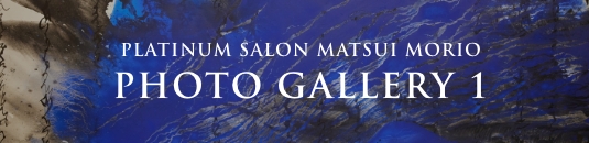 PLATINUM SALON MATSUI MORIO PHOTO GALLERY 1