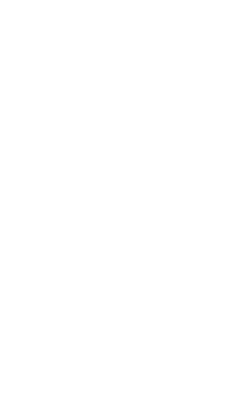 世阿弥は「風姿花伝」で、すぐれた能役者に老いても残る魅力を「まことの花」と呼んだ。価値観の多様な現代日本でまことの花とは一体どのようなものか。尾上墨雪は自身の身体をもってその花を探し続けている。
