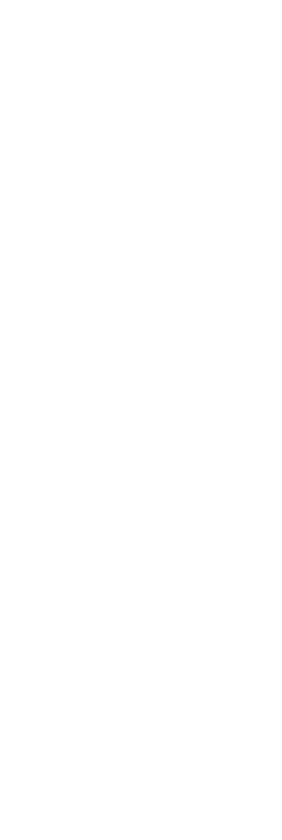 伝統は、伝承とは違い、時代とともに変化する。
            百年後には竹のインスタレーションも伝統になり、
            今は存在しない何かがつくられるかもしれない。
            そんな未来のため、竹と人が共生する環境づくりは
            四代目としての大切な仕事となっている。
