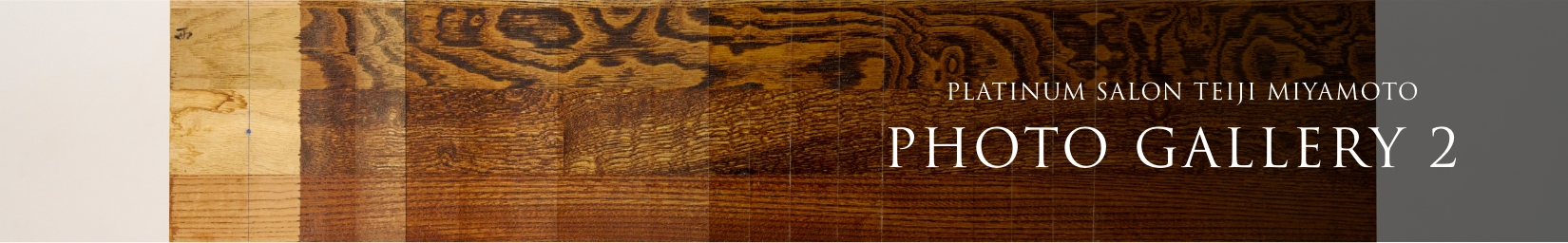 PLATINUM SALON TEIJI MIYAMOTO PHOTO GALLERY 2