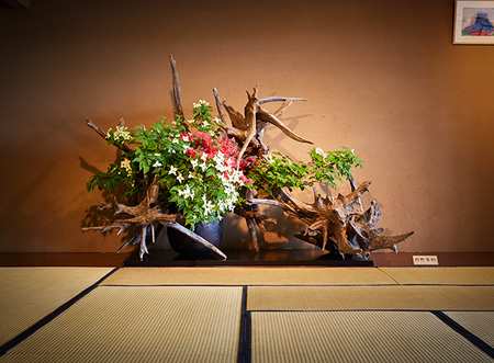 いけばなの革新を志す青年が創始した草月流