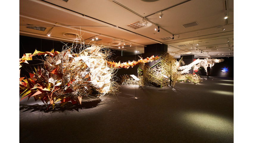 IKEBANA SOGETSU IN TOKYO PHOTO GALLERY 2