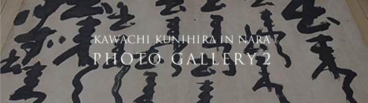 KAWACHI KUNIHIRA IN NARA PHOTO GALLERY 2