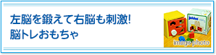 左脳を鍛えて右脳も刺激！脳トレおもちゃ