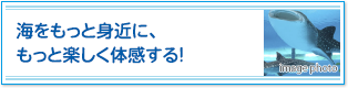 海をもっと身近に、もっと楽しく体感する！