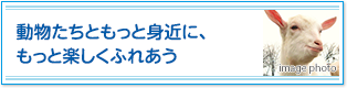 動物たちともっと身近に、もっと楽しくふれあう